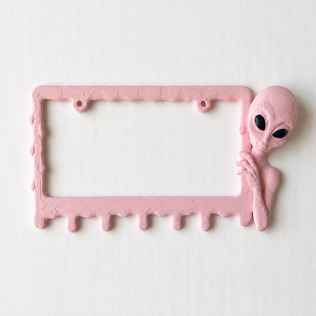Alien Slime license plate frame in Bubblegum pink on pure white studio background